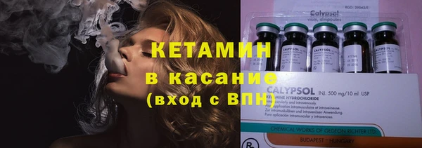 ГАЛЛЮЦИНОГЕННЫЕ ГРИБЫ Корсаков