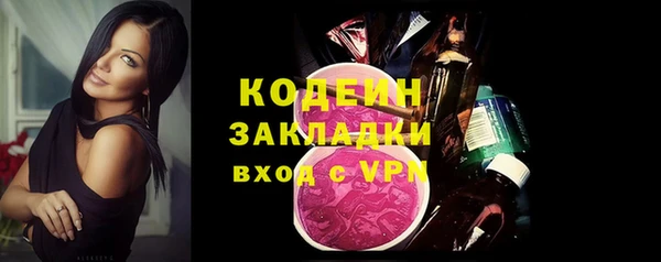 ГАЛЛЮЦИНОГЕННЫЕ ГРИБЫ Корсаков