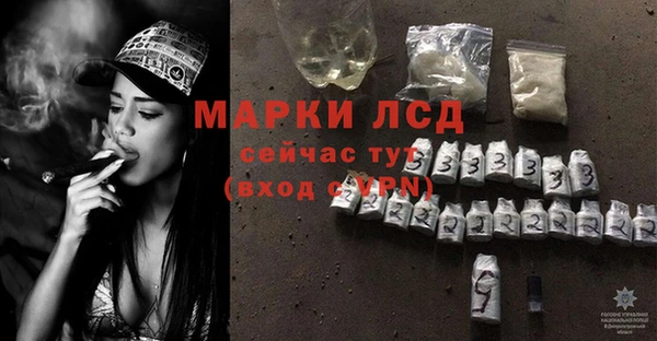 ГАЛЛЮЦИНОГЕННЫЕ ГРИБЫ Корсаков