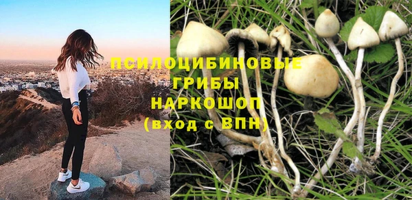 ALPHA PVP Костерёво