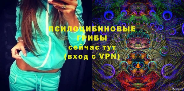 ГАЛЛЮЦИНОГЕННЫЕ ГРИБЫ Корсаков