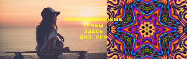 ALPHA PVP Костерёво