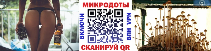 Галлюциногенные грибы мицелий  цены наркотик  Великий Новгород 