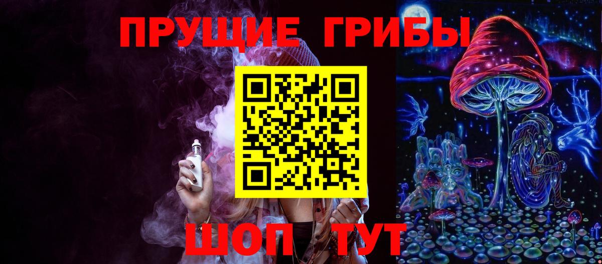 Галлюциногенные грибы Psilocybe Великий Новгород