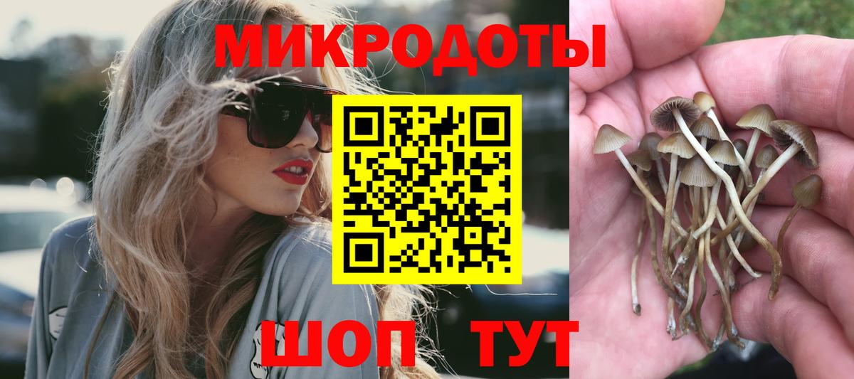 Галлюциногенные грибы мицелий  Галлюциногенные грибы Magic Shrooms  Великий Новгород 