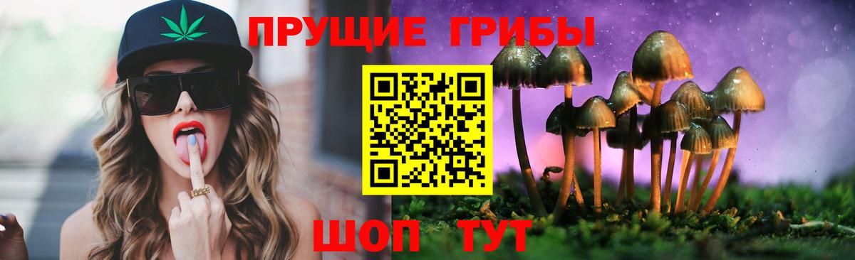 купить   Вход с VPN  Великий Новгород  Псилоцибиновые грибы Magic Shrooms  Псилоцибиновые грибы Psilocybine cubensis 